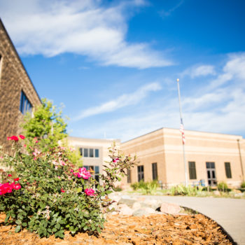 enrollment enrollment