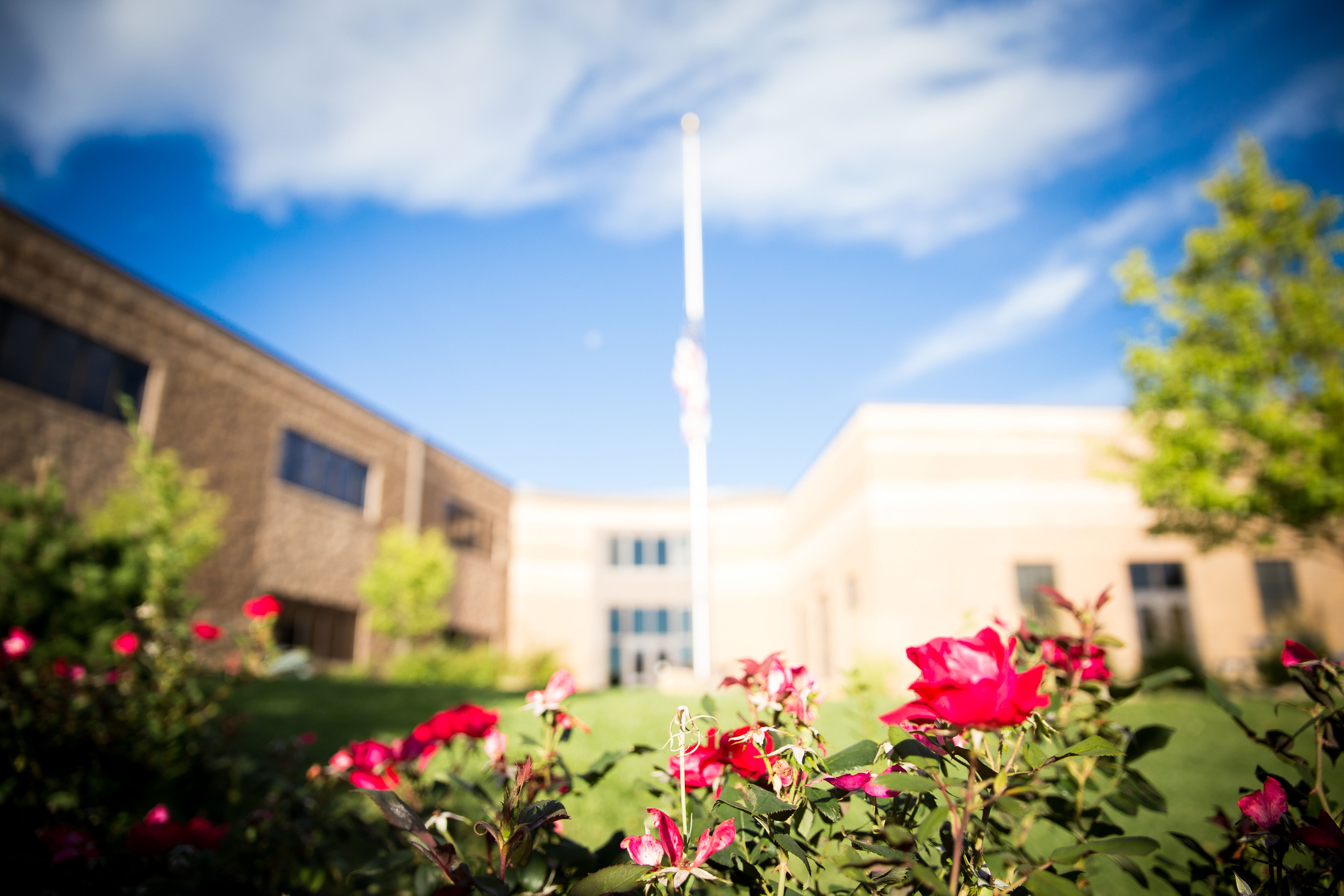 the outside of a school building with roses in the foreground