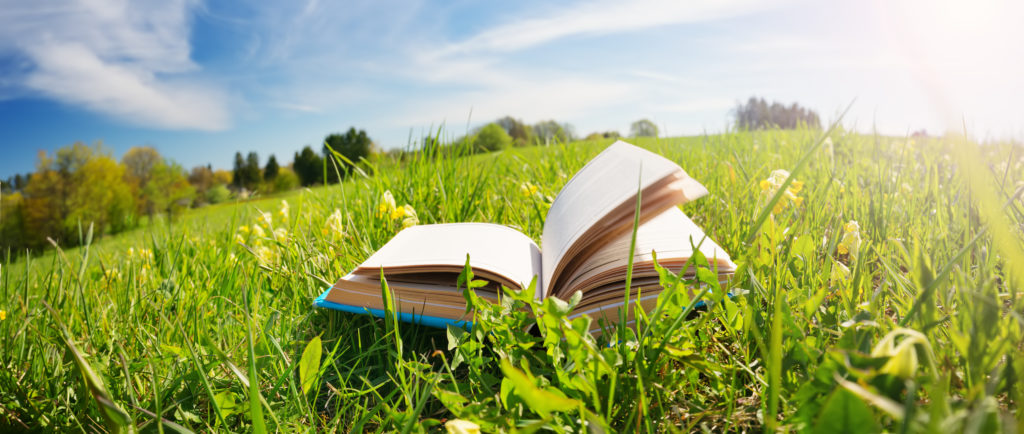 Open book in the grass on the field on sunny day